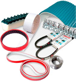 Timing Belts